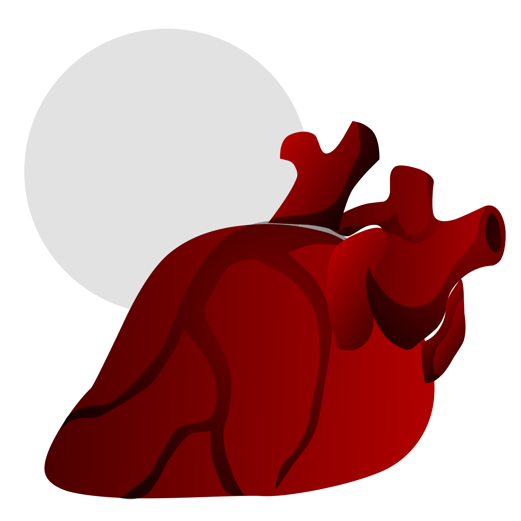 cardiology-01
